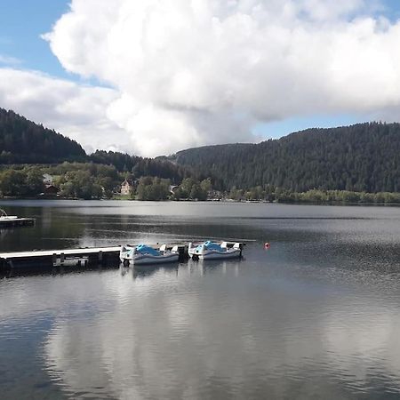 Chalet 3 Etoiles A Gerardmer. Exterior foto