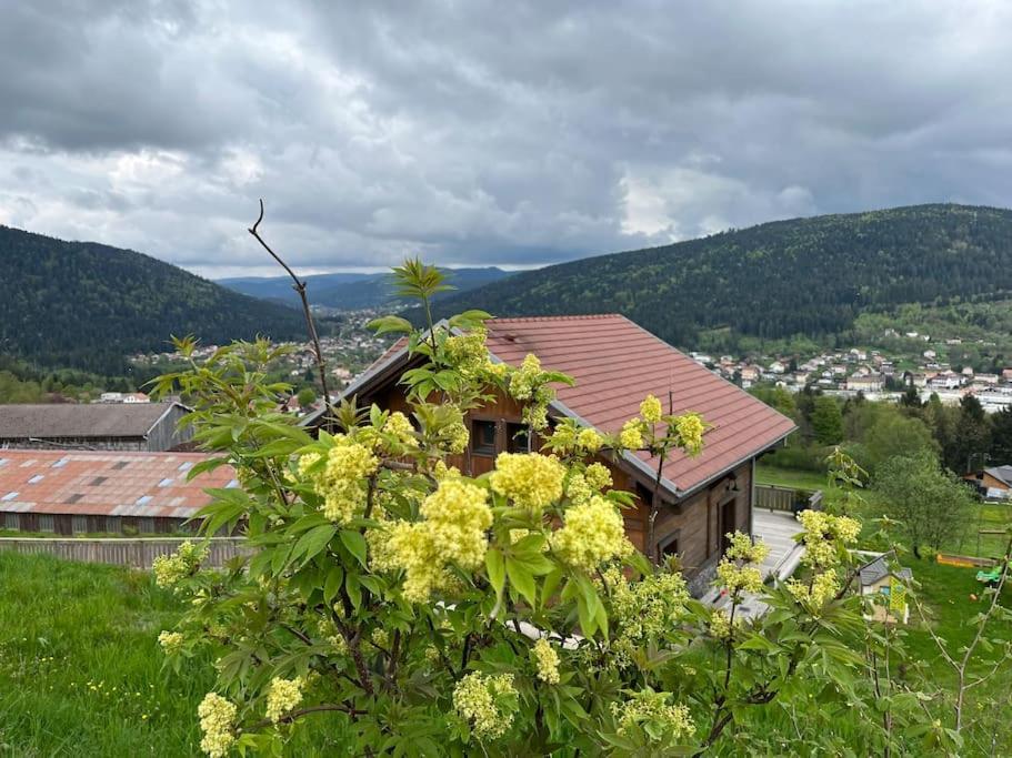 Chalet 3 Etoiles A Gerardmer. Exterior foto