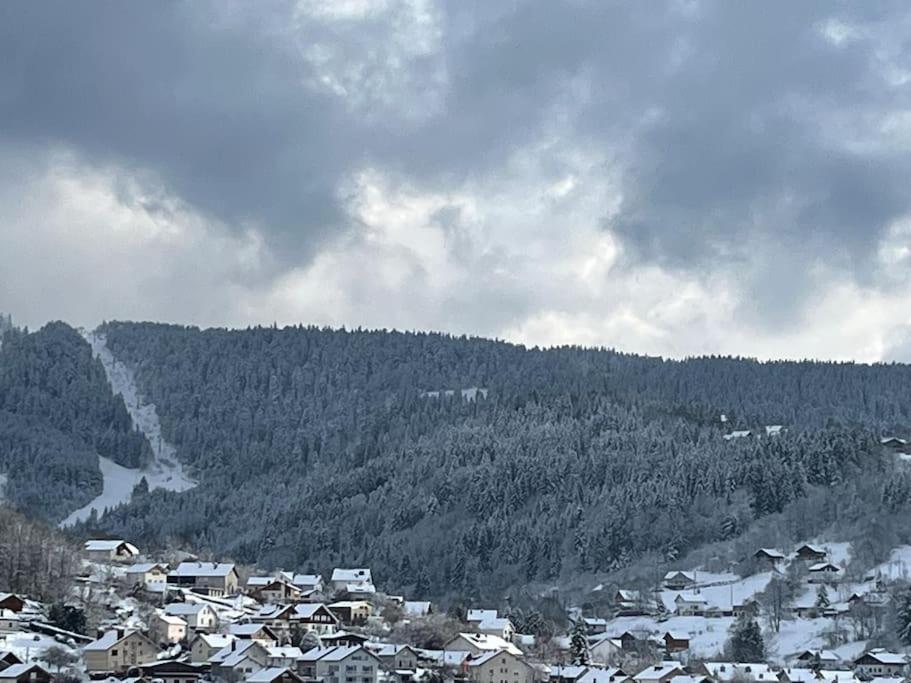 Chalet 3 Etoiles A Gerardmer. Exterior foto