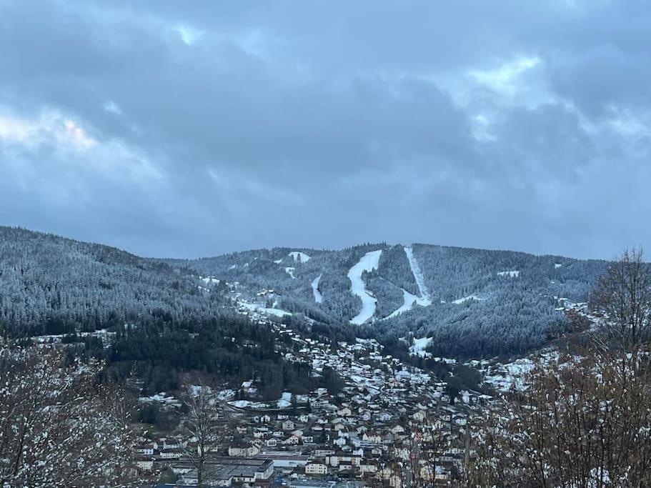 Chalet 3 Etoiles A Gerardmer. Exterior foto