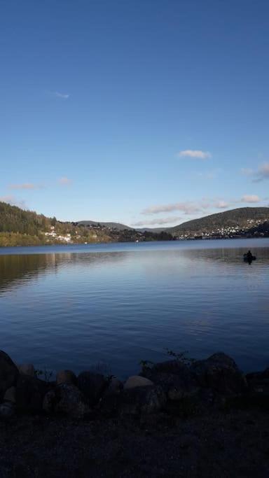 Chalet 3 Etoiles A Gerardmer. Exterior foto